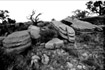 rocks in g.canyon