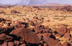 western desert australia